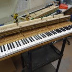 Genuine Steinway parts