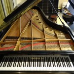grand piano naples philharmonic artis Michael Feinstein bonita