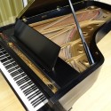 grand piano naples philharmonic artis Michael Feinstein bonita springs