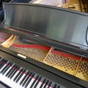 used steinway grand naples