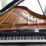 used steinway piano prices sarasota boston series