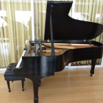 Used Steinway grand S curve