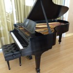 Used Steinway grand side view