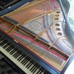 Used Steinway M