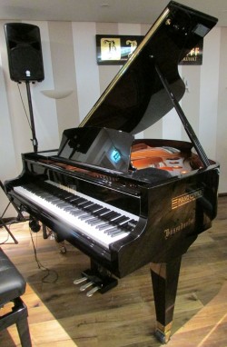 used baby grand piano naples