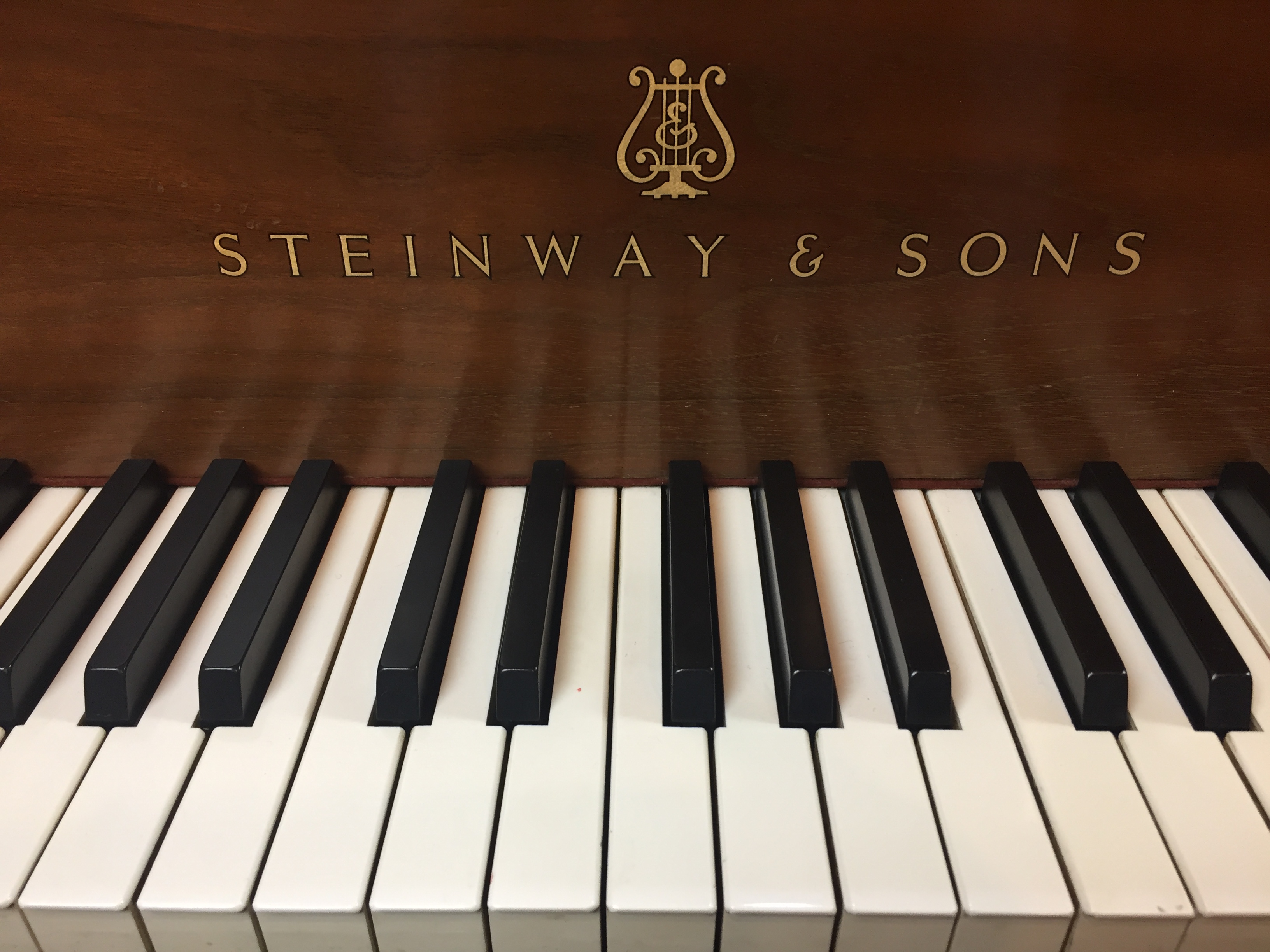 steinway piano walnut used grand