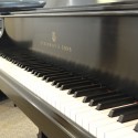 used steinway baby grand piano bonita springs